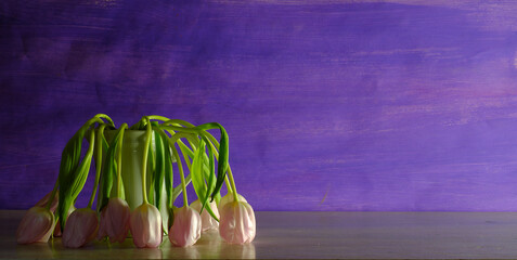 faded bunch of tulips in an old mug, spring flowers,panoramic,large copy space