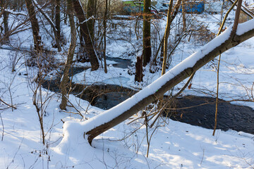 Snowy sunny Ticha Sarka in the Winter, Nature Reserve in Prague