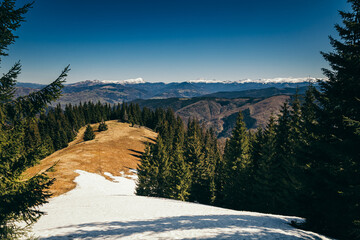 Snow-capped mountains, meadow and coniferous forest, spring, winter
