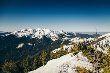Winter mountains remnants of snow, spring, coniferous forest