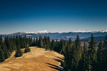 Snow-capped mountains, meadow and coniferous forest, spring, winter
