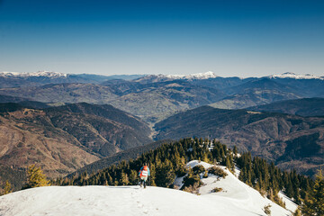 Mountains, coniferous forest in the snow, deforestation, spring