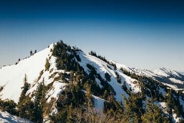 Mountains, coniferous forest in the snow, spring, winter