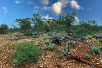 Landscape showing earthy coloured boulders against a blue sky in the Australian outback.