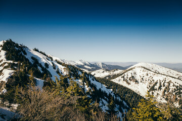 Mountains, coniferous forest in the snow, spring, winter