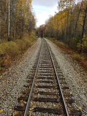 Fototapeta premium Hobo dreams: railway in autumn
