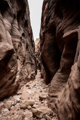 Shorter Walls of Buckskin Gulch Allow Light In With Muted Colors