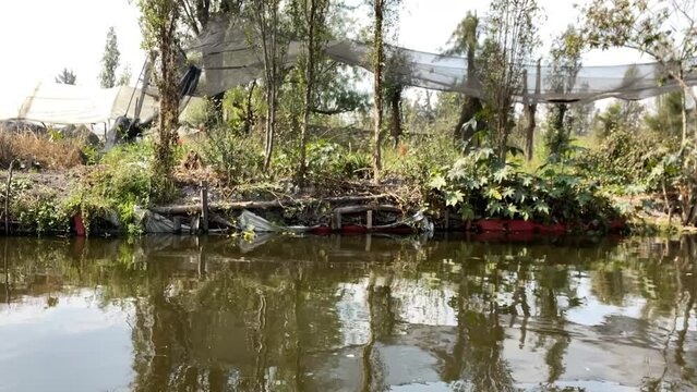scene of a tour through the canals of xochimilco