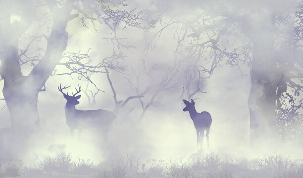 A buck and a doe whitetail deer are seen in a foggy forest in winter in this 3-d illustration..