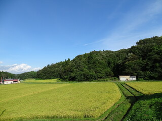 Fototapeta na wymiar 農村風景
