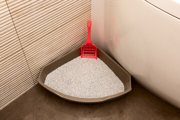 Triangle cat toilet pan with red scoop spade in the corner of the bathroom