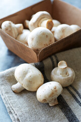 20211231_button_mushrooms_tif