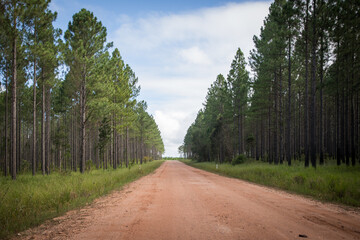 Dirt road