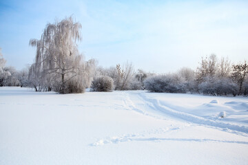 Fototapeta na wymiar Russian winter - road between the snow-covered frozen trees on a sunny day