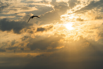 北海道で見た夕日 (日本 - 北海道 - 黄金岬キャンプ場)
