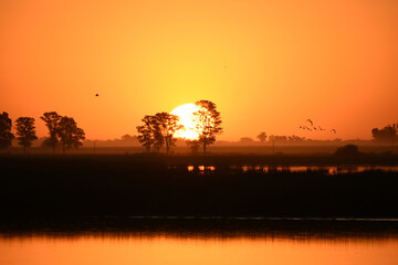 sunset with birds at Laguna Navarro lake, Buenos Aires, Argentina