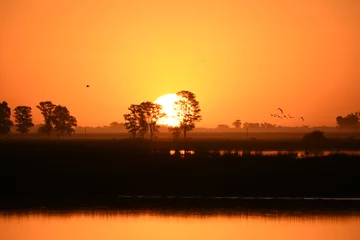 Raamstickers sunset with birds at Laguna Navarro lake, Buenos Aires, Argentina © Chris Peters
