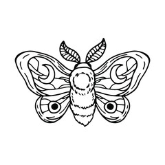 Celestial moth with half moon. Mystical butterfly. Hand drawn vector illustration.