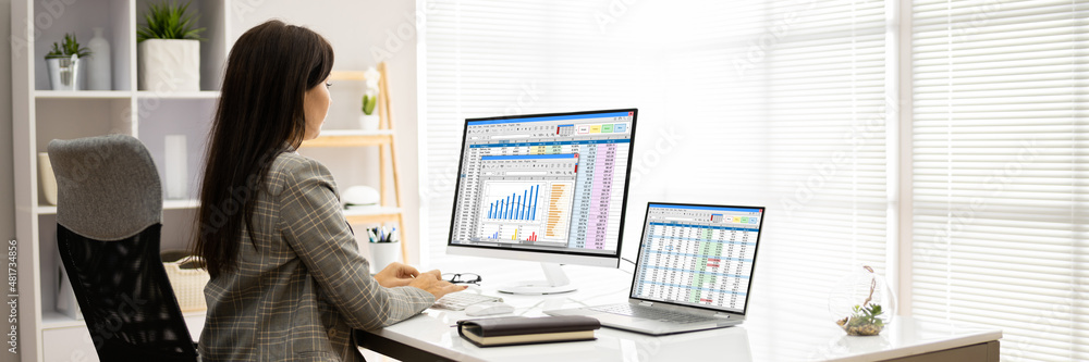 Poster analyst employee working with spreadsheet