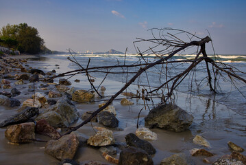 This is the nature beach of Khao Tao Hua Hin at night! In the background the sea has washed up branches and the stones look a beautiful natural idyll!