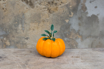 Pumpkin on old wall background