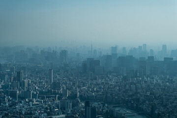 霞む東京中心地 東京タワー