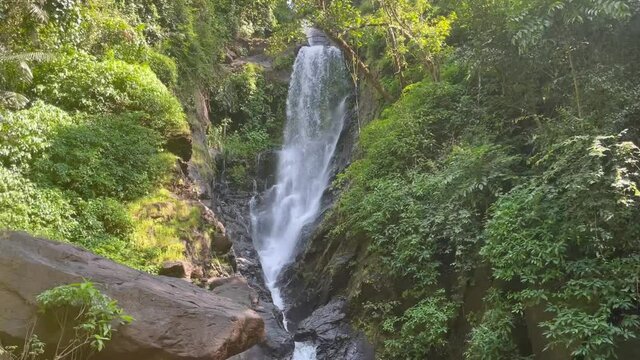 Savri Waterfall With Tropical Forest In Neturlim, India. - tilt down