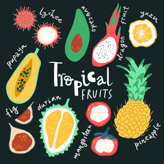 Tropical fruits collection. Bright and juicy isolated fruits in simple elegant style.