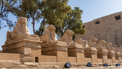 The famous alley of the sphinx-rams in the Karnak Temple of Luxor. Damaged stone statues of...