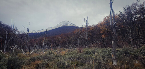 sunrise in the mountains