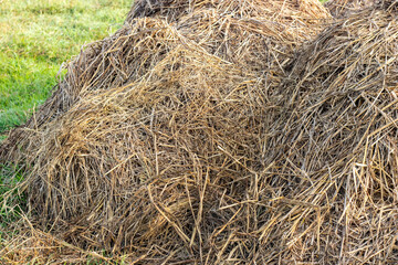 Close up shot of dry straw pile on the agricultural field in the rural village