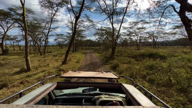 Safari Vehicle With Top Open Driving On Savannah Of Lake Nakuru National Parks In Kenya. POV