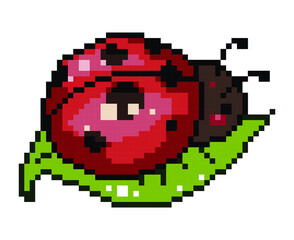 Obraz premium ladybug pixel art.