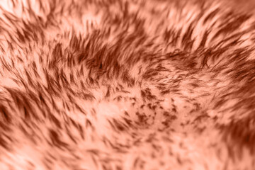 Abstract texture of natural long-pile fur in Calming Coral color. Selective focus. Trending colors...