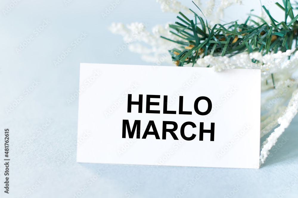 Poster with text hello march on a white card on a blue background next to spruce branches