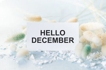 Naklejka premium Hello December text on a card in the background of fluffy branches of dried flower