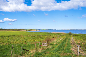 Obraz premium Dirt road on a meadow to a lake