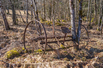 Old tedder at the edge of the forest