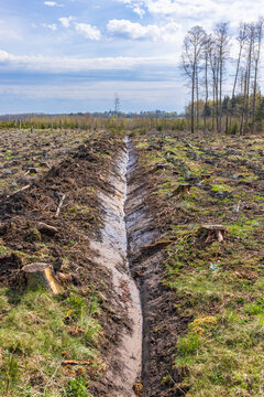 Digged Drainage Ditch On A Clear Cut