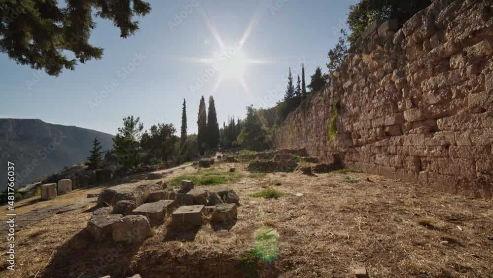 Wall mural delphi - moving through trees towards the ruins