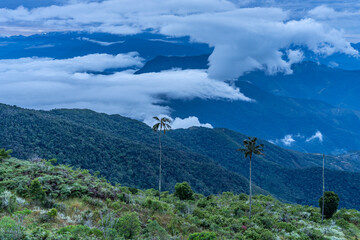 Sunrise over the mountains of the Sierra Nevada de Santa Marta on the way to Lost City
