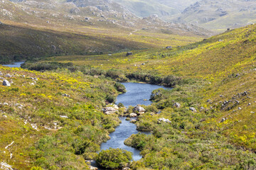 Palmiet River in the Kogelberg Nature Reserve near Kleinmond in the Western Cape of South Africa