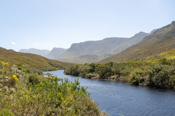 Fototapeta premium Blue Water in the Palmiet River in the Kogelberg near Betty's Bay in the Western Cape of South Africa