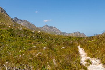 Beautiful scenery in the Kogelberg along a hiking trail, Western Cape of South Africa