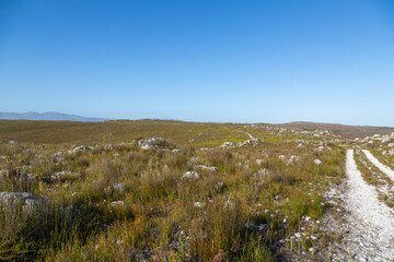 Fototapeta na wymiar Landscape along a small trail in the Kogleberg Nature Reserve near Betty's Bay in the Western Cape of South Africa