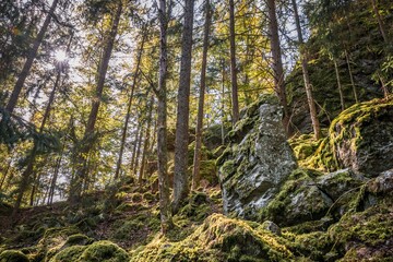 Großer verwitterter Granit Felsen in der Form eines menschlichen Kopfes mit Augen Ohren Mund und...