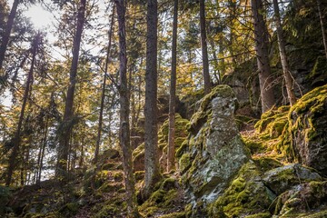 Großer verwitterter Granit Felsen in der Form eines menschlichen Kopfes mit Augen Ohren Mund und Nase mit Moos überwuchert am Berg Hoher Sachsen bei Grafenau im bayerischen Wald, Deutschland