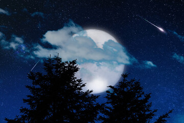 Tree silhouettes, stars and Moon on a vivid sky.