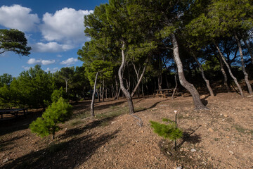 Na Miranda recreational area, Sa Dragonera natural park, Mallorca, Balearic Islands, Spain