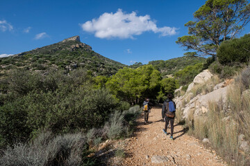 Fototapeta na wymiar Na Miranda road, Sa Dragonera natural park,Mallorca, Balearic Islands, Spain